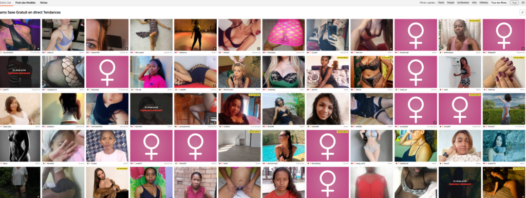 Filles connectées sur une plateforme de webcam sexy en direct